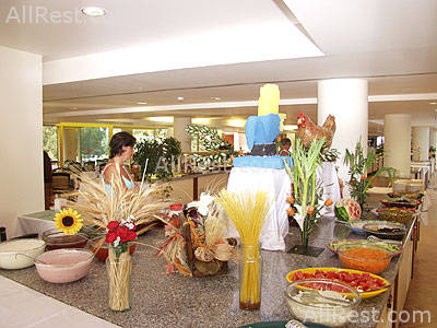 Pegasos Club 12